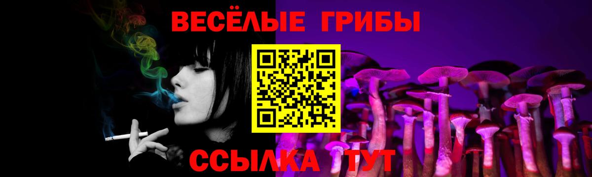 купить наркоту  Галлюциногенные грибы Psilocybine cubensis  Псилоцибиновые грибы MAGIC MUSHROOMS  Вход с VPN  Набережные Челны 